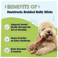 Pawstruck All-Natural 12&rdquo; Braided Bully Sticks for Dogs - Rawhide Free, Single Ingredient, Long Lasting Low Odor Chew Treat for Aggressive Chewers