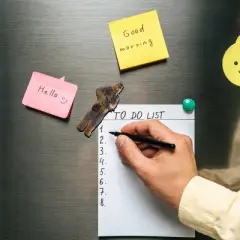 NMR Distribution Star Wars Chewbacca Funky Chunky Wood Magnet