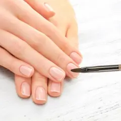 Unique Bargains Petal Nail Painting Brushes for Polish Painting Home DIY Nail Design Clear Brown 1 Pc