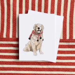 Everyday Greeting Card Pack (3ct) "Preppy Retriever" by Ramus & Co