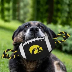 NCAA Iowa Hawkeyes Nylon Football Dog Toy