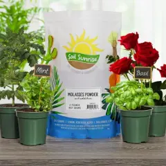 Soil Sunrise Dry Horticultural Molasses Powder, Indoor/Outdoor Gardening Soil Amendment for Plants