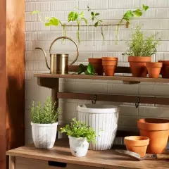 9pc Steel & Glass Plant Propagation Set Gold/Clear - Hearth & Hand&trade; with Magnolia