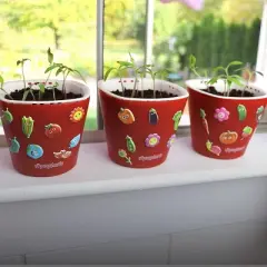 Window Garden Seed Starting Kit Plant Vegetables with 3 Self Watering Planters, Soil, Seeds & Puffy Stickers