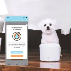 Instachew Pureflow Automated Pet Fountain