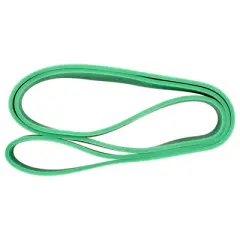 Serious Steel Fitness 32 Inch Resistance Band, #4 Green, 1 Count