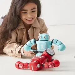 FAO Schwarz Robot Knockout Remote Control Boxing Set