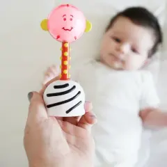 SmartNoggin NogginStik Developmental Light-up Rattle and Parent Guide