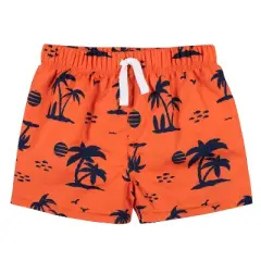 Gerber Baby & Toddler Boys' Two-Piece Swim Trunks and Long Sleeve Rash Guard Set
