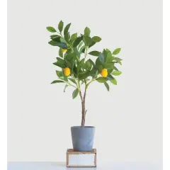 28" Artificial Faux Lemon Tree in Cement Pot - Storied Home