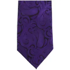 Men's Paisley Microfiber Woven Wedding Neckties