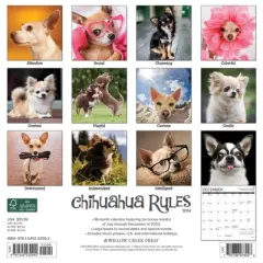 Willow Creek Press 2024 Wall Calendar 12"x12" Chihuahua Rules