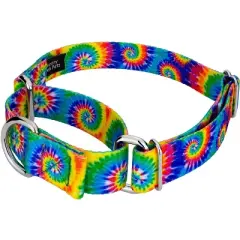 Country Brook Petz Classic Tie Dye Martingale Dog Collar