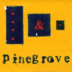 Pinegrove - Everything So Far