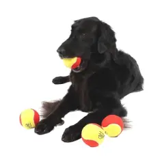 Midlee 3 Inch Large Tennis Balls for Dogs, Pack of 4 Durable Toy Balls