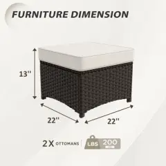 EAGLE PEAK Azure Bay 2 Piece Wicker Patio for Patio Deck Backyard Poolside