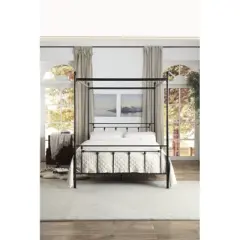 Chelone Queen Metal Canopy Platform Bed in Black - Lexicon