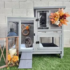 Aivituvin Outdoor and Indoor Bunny Hutch, Rabbit House (Inner Space 8.3ft&sup2;)-AIR10