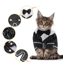 Unique Bargains Cat Apparel Black 1 Pc