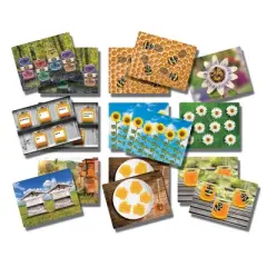 Yellow Door Honey Bee Stones and Activity Cards