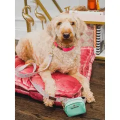 Pink Papyrus Isla Dog Leash