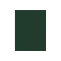 JAM Paper 100 lb. 8.5" x 11" Color Cardstock Green Linen 50/pack  (81211-C-GNLI-50)