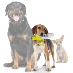 Tuffy Funny Food Banana Dog Toy