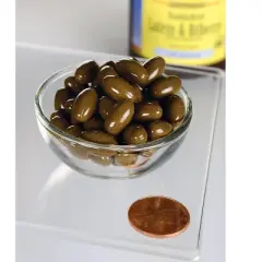 Swanson Herbal Supplement Lutein & Bilberry Softgel 120ct