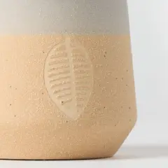 Falling Leaves Live Houseplant - Good Little Garden&trade;