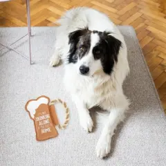 Pavilion Gift Company - Dog Is Home - 9" Canvas Dog Toy on Rope - Pet Toy