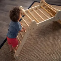 Avenlur Vicus Climbing Frame with Ramp, Folds into Multiple Shapes