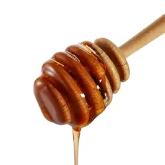 Organic Raw Honey - 24oz - Good & Gather&trade;