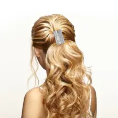 Unique Bargains Women's Irregular Ponytail Buckle Hair Clip Silver Tone 1 Pc