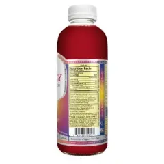 Synergy The Real Kombucha, Lemonberry &ndash; 16 fl oz