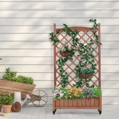 Whisen 2-Pack Raised Garden Bed with Trellis & Climbing Racks