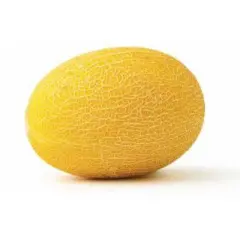 Fresh Hami Melon - each