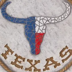 Zingz Home Santa Windsock