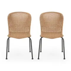 GDFStudio Kittama Outdoor Boho Wicker and Iron Dining Chairs (Set of 2), Light Brown/Black