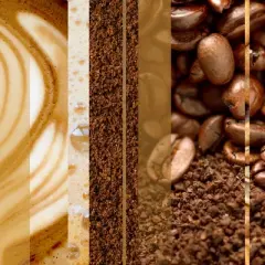 Glade PlugIns Scented Oil Air Freshener - Cozy Vanilla Cappuccino Refill - 1.34oz/2pk