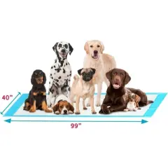 PetsWorld 4XL (40x99 inch) Dog Training & Potty Pads Pads 20 Count