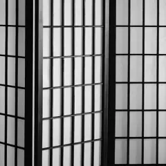 5 ft. Tall Window Pane Shoji Screen - Black (6 Panels)