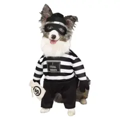 Fun World Robber Pup Pet Costume