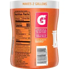 Gatorade Fruit Punch Powder Cannister Sports Drink - 18.4oz