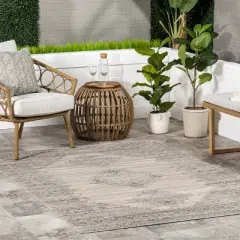 nuLOOM Deena Vintage Machine Washable Indoor/Outdoor Area Rug