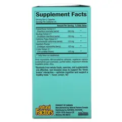 Natural Factors 3 Brains, The Best-Sleep, 90 Vegetarian Capsules