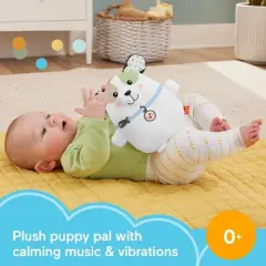 Fisher-Price Baby Toy Calming Vibes Puppy Soother Plush Portable Sound Machine with Vibrations for Newborns