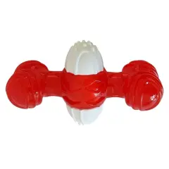 American Pet Supplies 5.5-Inch Quacker Bone Dog Chew Toy