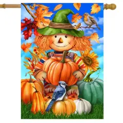 Briarwood Lane Fall House Flag 40x28 For Outdoor Smiling Scarecrow For Fall House Flag