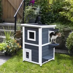 PawHut Solid Wood 2-Floor Cat Condo Kitten Shelter with Window