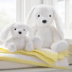 Bunny Plush Animal with Mini Plush Bunny Stuffed Animal Toy - 2pc - Cloud Island&trade;